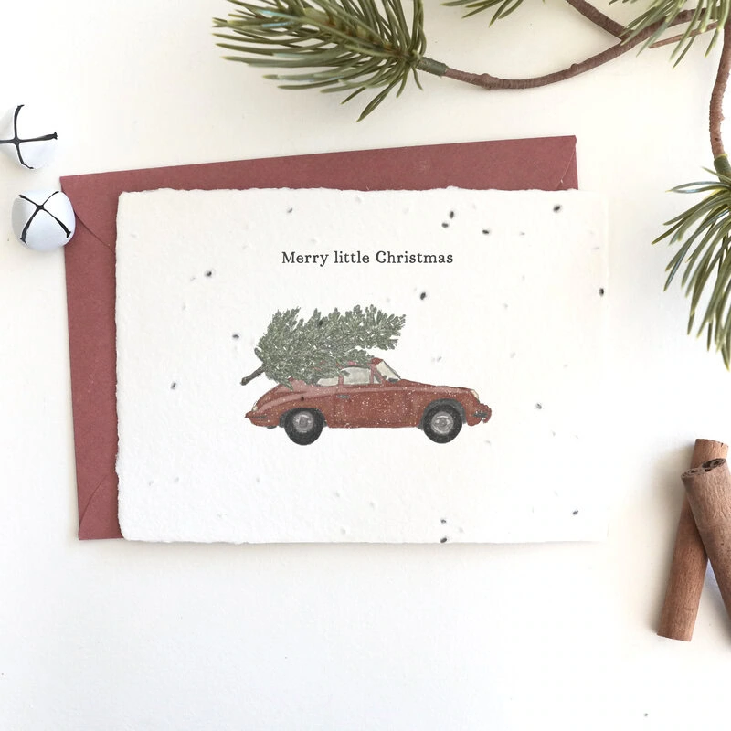Samenkarte "Merry little Christmas"